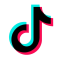 tiktok-original